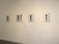 Daniel Baharier - Gallery